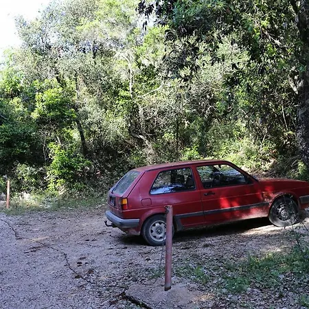Uvala Rasohatica 5453a *