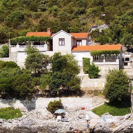 Uvala Rasohatica 5453a *